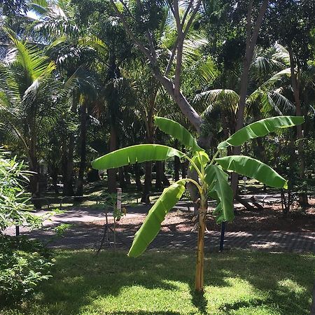 La Canotiere Du Boucan Saint-Gilles-les Bains Ngoại thất bức ảnh